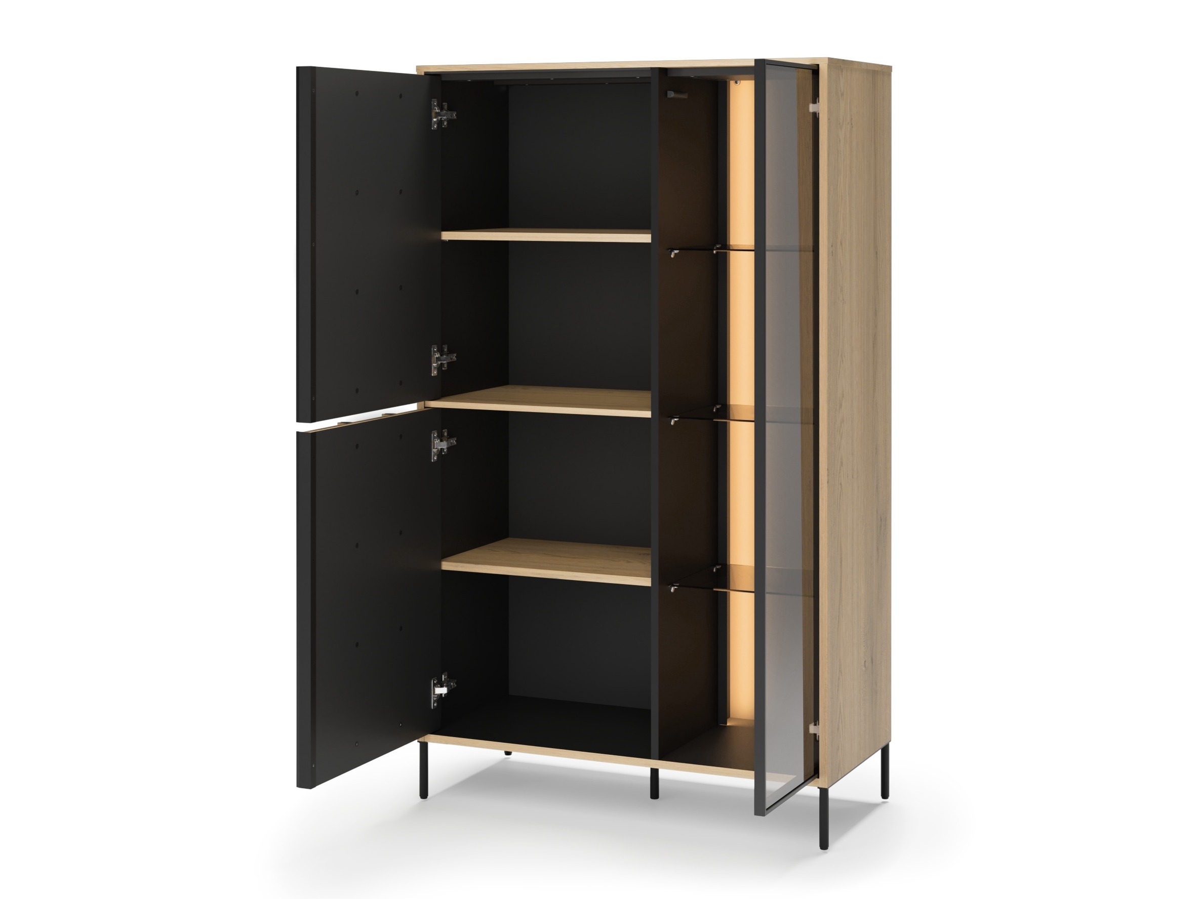 Regal Morelbo 100