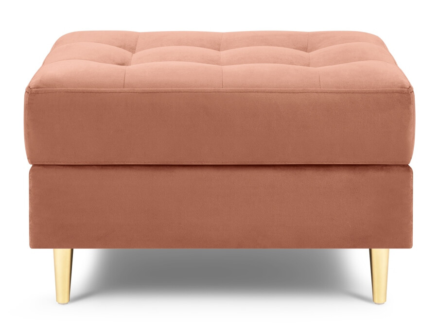 Hocker Novtoli 122 (Salvador 11)