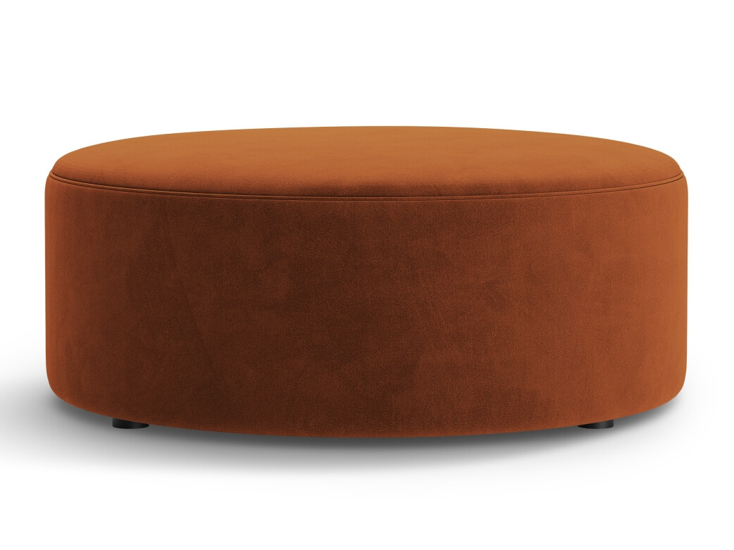 Hocker Beckley 379 (Salvador 14)