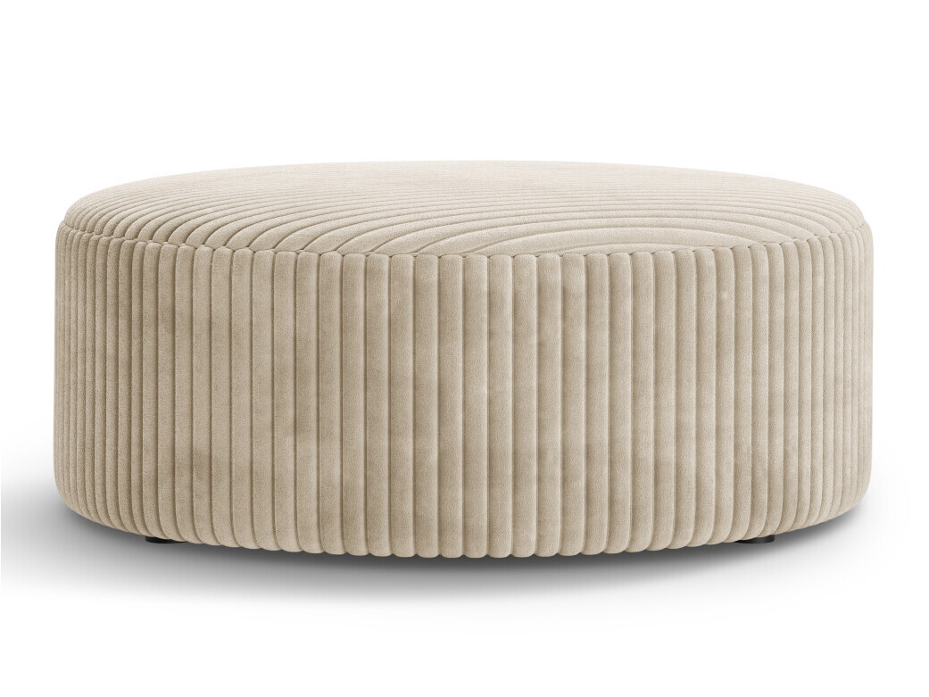 Hocker Beckley 379 (Tilia 03)