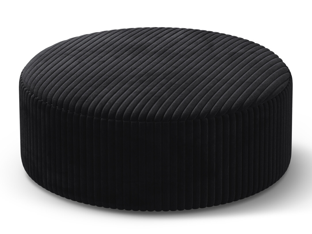 Hocker Beckley 379 (Tilia 100)