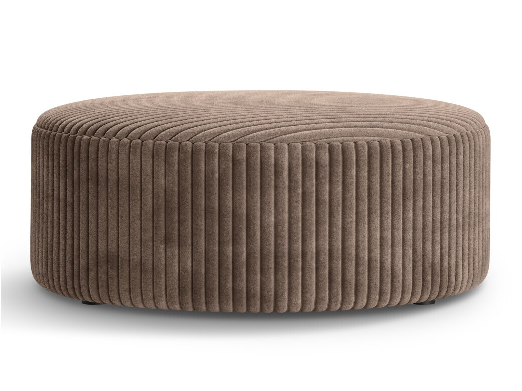 Hocker Beckley 379 (Tilia 17)