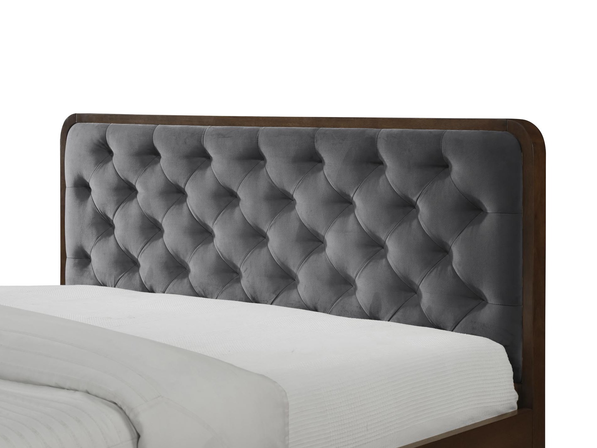 Bett Houston Noctis